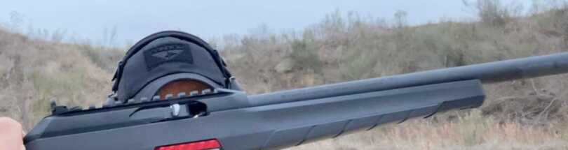 The 10/22 Ruger Should Be Making: The Winchester Wildcat 22 LR
