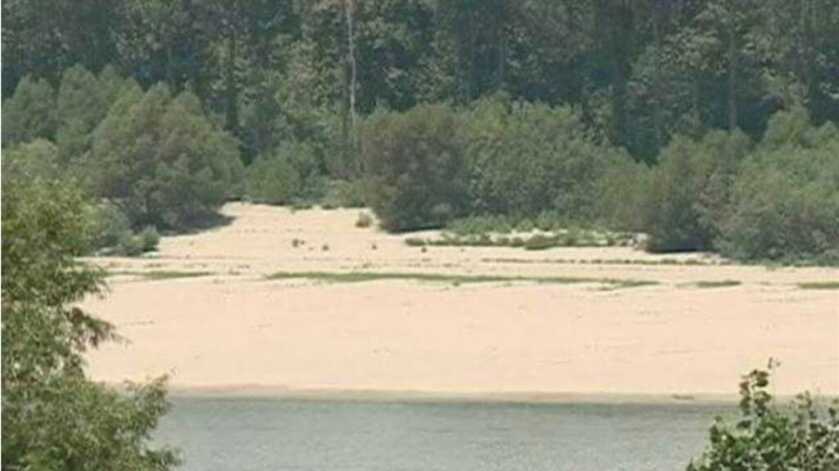 Jim Bowie and the Vidalia Sandbar Fight Jim Bowie and the Vidalia Sandbar Fight
