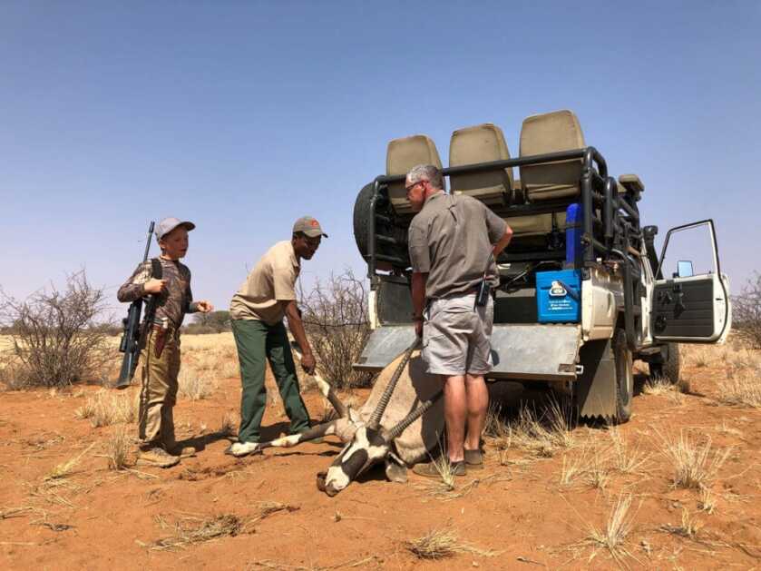 Take the Shot? A Mature Kudu Bull Offers A High-Speed Opportunity Take the Shot? A Mature Kudu Bull Offers A High-Speed Opportunity
