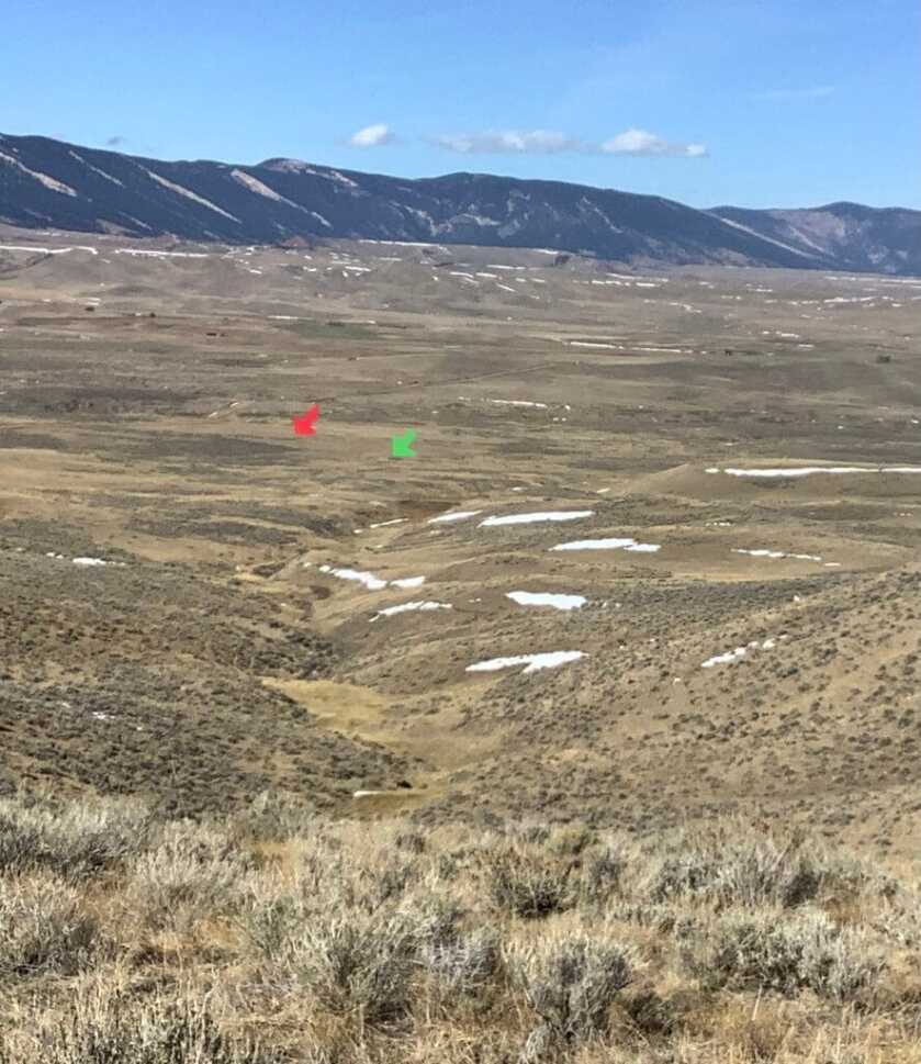Wyoming Handgun Antelope Wyoming Handgun Antelope