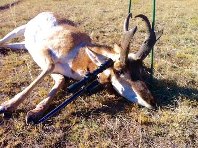 Wyoming Handgun Antelope Wyoming Handgun Antelope