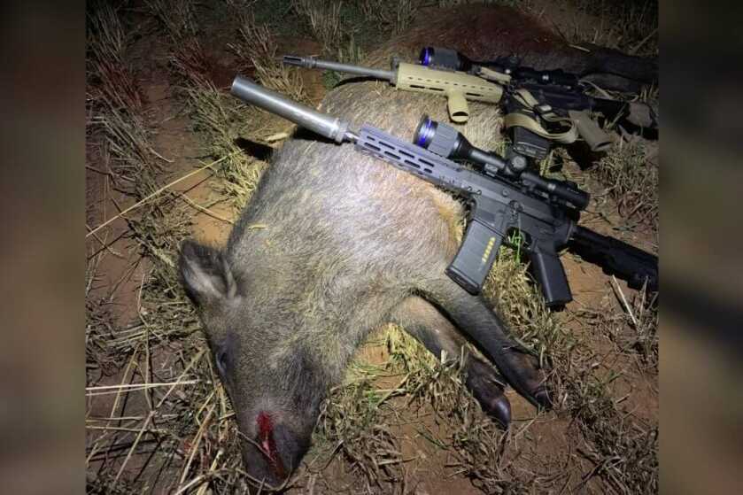 Pulsar Thermion XQ38 Pulsar Thermion XQ38