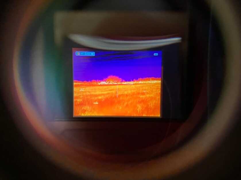 Thermal Review: Bering Optics R-35 vs Hogster Stimulus Thermal Review: Bering Optics R-35 vs Hogster Stimulus