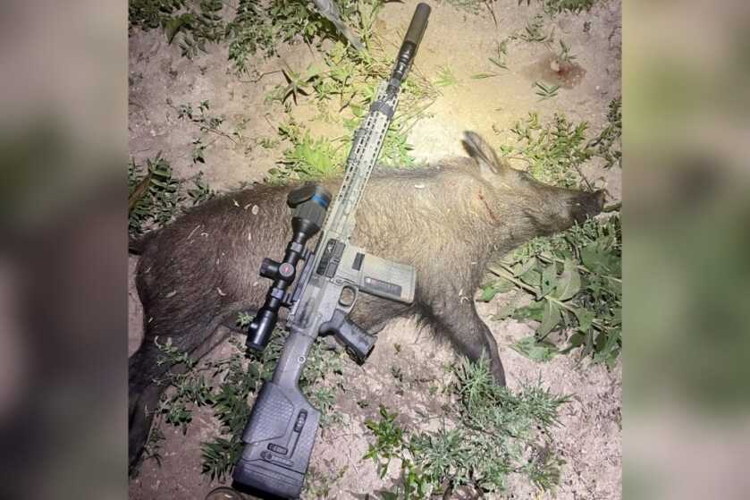Killer Thermal Scope: Full Review of the Pulsar Thermion 2 XP50 Killer Thermal Scope: Full Review of the Pulsar Thermion 2 XP50