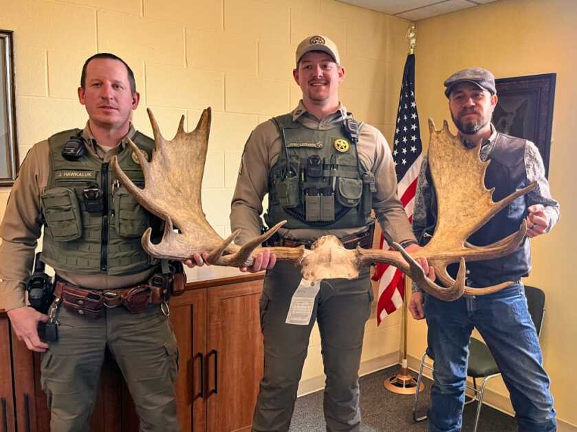 Montana Man Receives Lifetime Hunting Ban for Poaching Moose Montana Man Receives Lifetime Hunting Ban for Poaching Moose