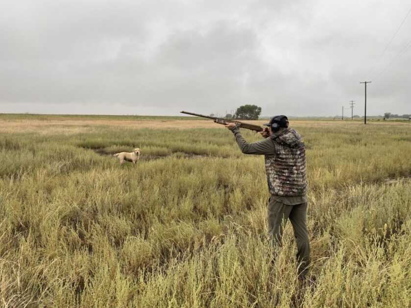 Tested: Browning A5 Wicked Wing Sweet Sixteen Tested: Browning A5 Wicked Wing Sweet Sixteen