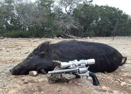 Freedom Arms 555, Safari Club International Freedom Arms 555, Safari Club International