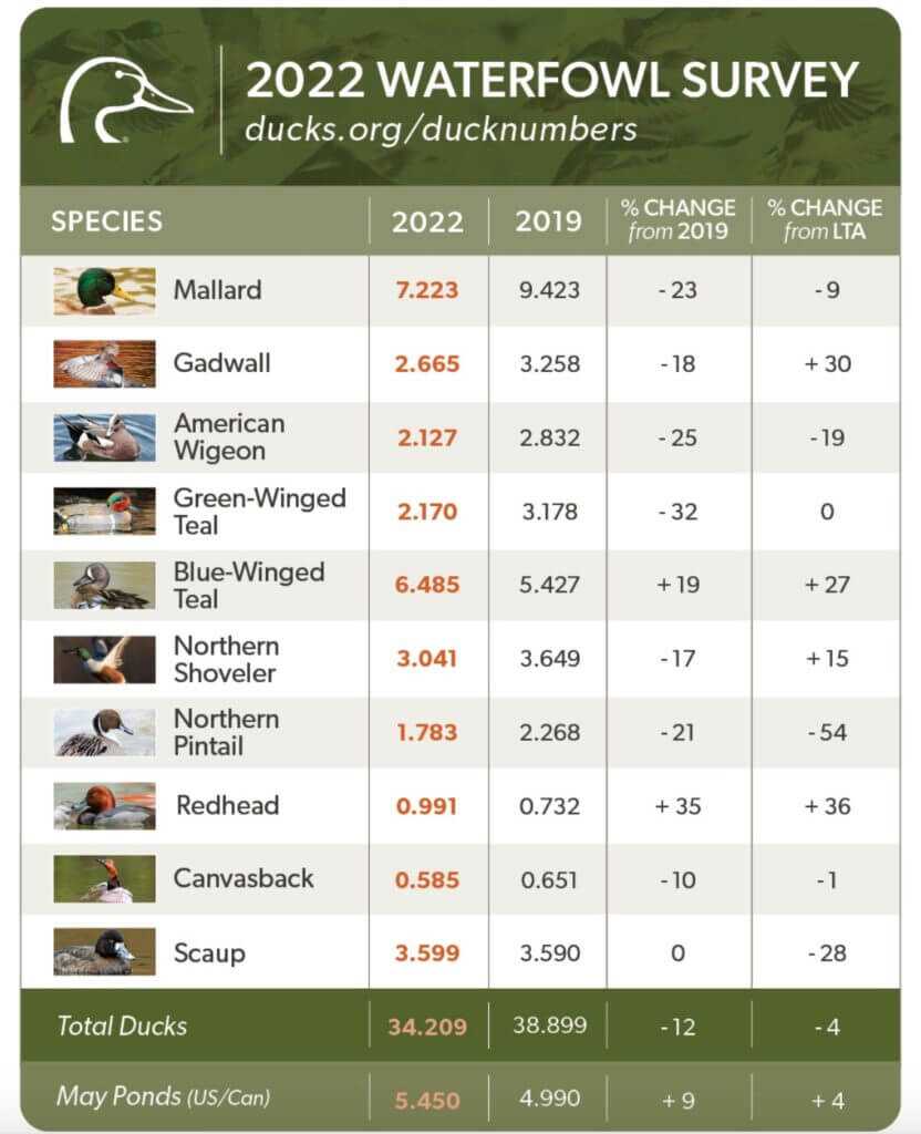 Duck Numbers for 2022 and 2023 Duck Numbers for 2022 and 2023
