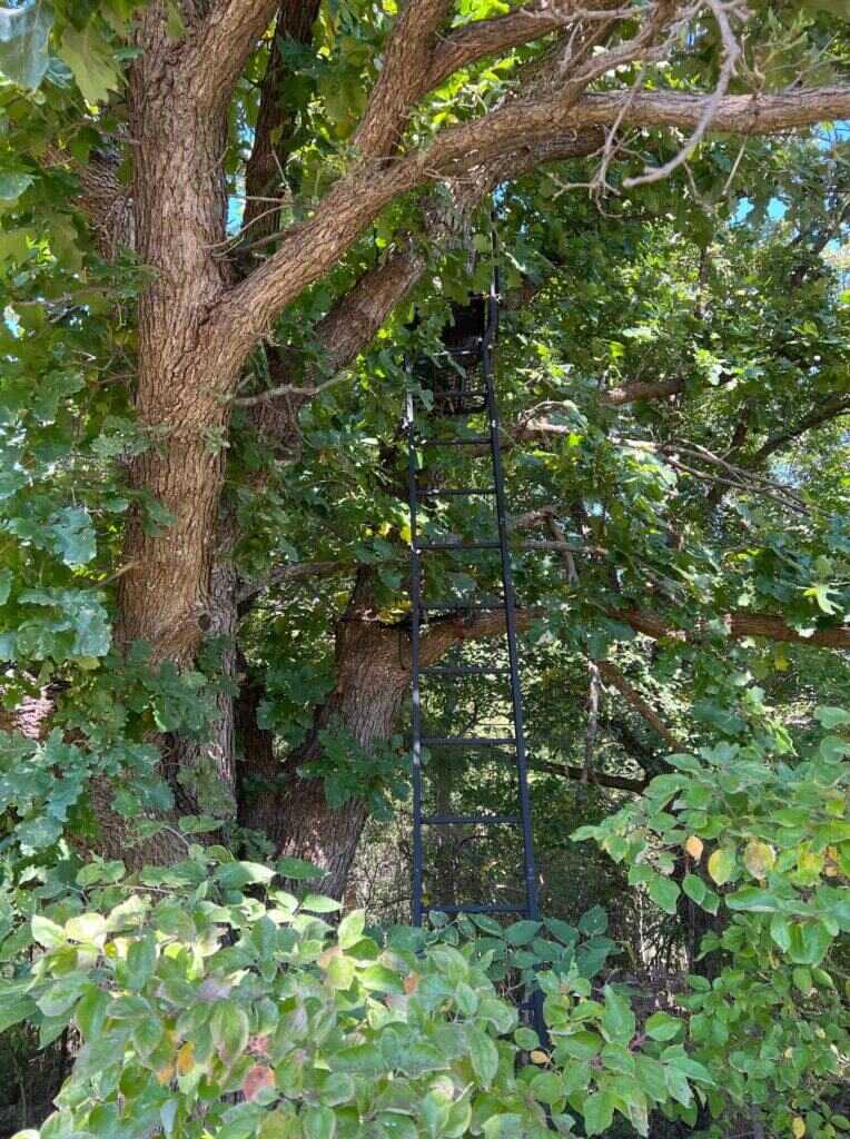 Find Your Spot - Whitetail Tips Find Your Spot - Whitetail Tips