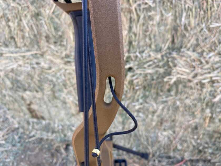 Tried-and-True: Hoyt VTM 31 Tried-and-True: Hoyt VTM 31