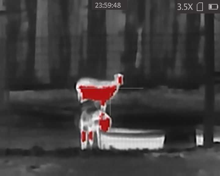 Is Cheap Thermal Worth It? Testing the AGM TS19-256 Is Cheap Thermal Worth It? Testing the AGM TS19-256