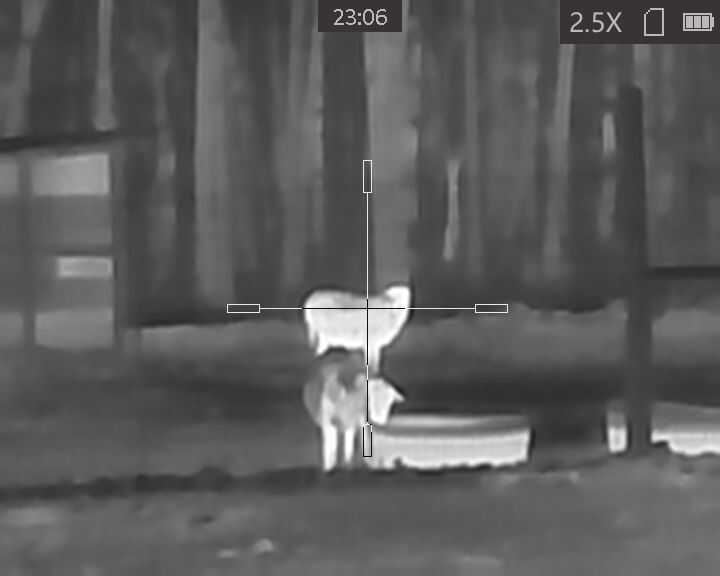 Is Cheap Thermal Worth It? Testing the AGM TS19-256 Is Cheap Thermal Worth It? Testing the AGM TS19-256