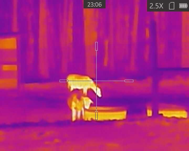 Is Cheap Thermal Worth It? Testing the AGM TS19-256 Is Cheap Thermal Worth It? Testing the AGM TS19-256
