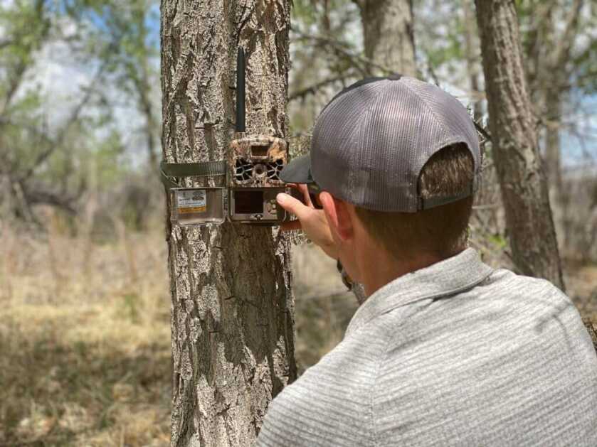 Three Early-Season Turkey Setups That Won’t Fail Three Early-Season Turkey Setups That Won’t Fail