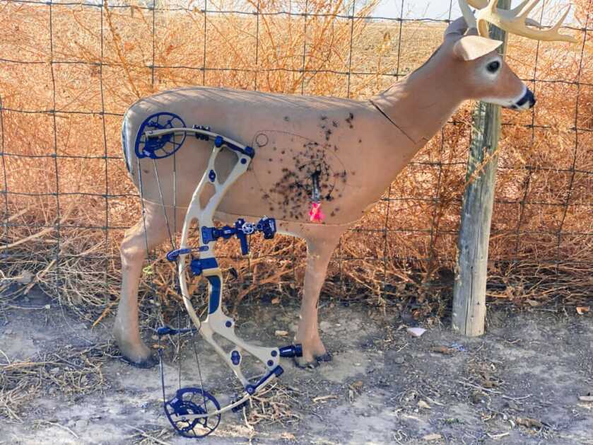 Three Archery Games That Will Make You A Better Bowhunter archery practice target with blue and tan bow