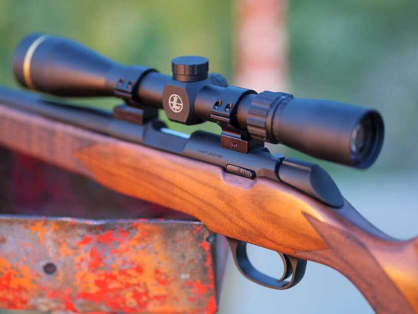 Springfield's 2020 Rimfire Rifles: Accuracy & Quality, Budget & Heirloom Springfield's 2020 Rimfire Rifle with warm light shining on wood