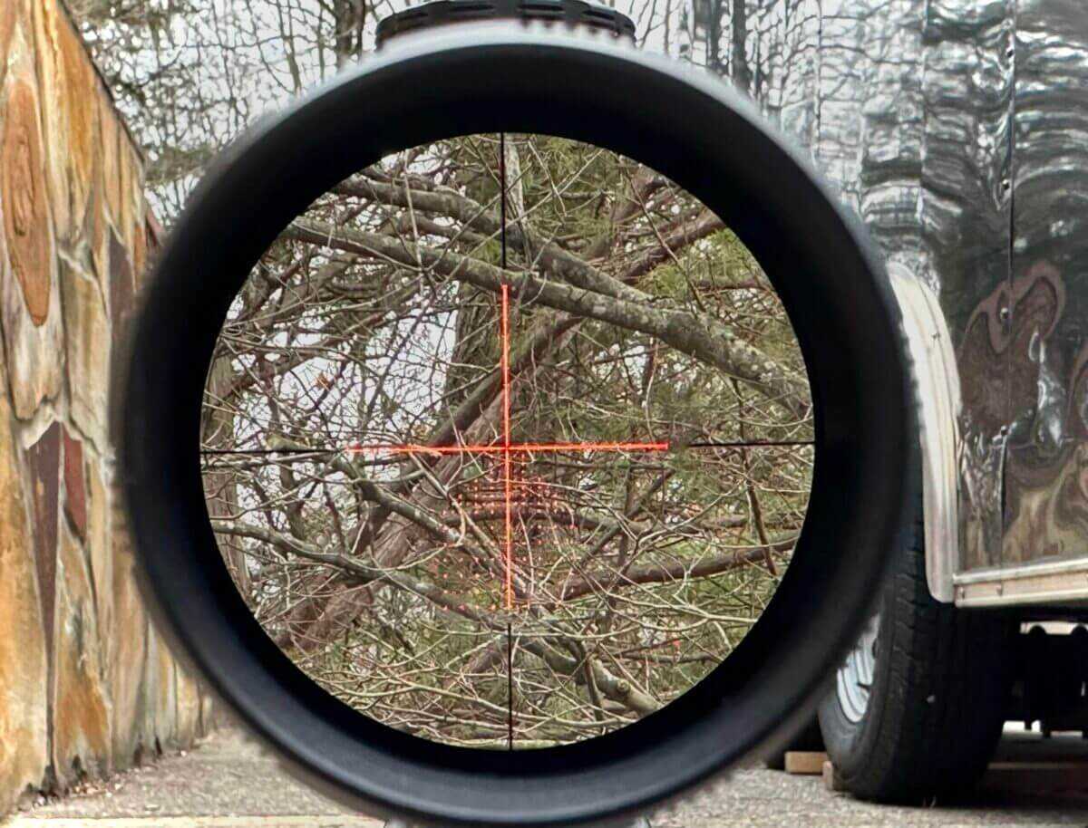 Sightron SVIII The view through the Sightron SVIII with an illuminated reticle.