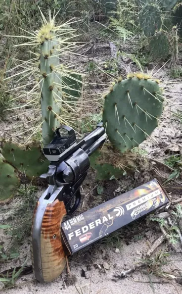 federal ammo and revolver in front of cactus