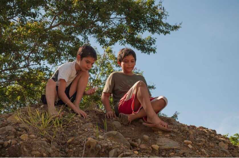 two boys in shorts and t shirts playing on a hill of dirt in front of a tree