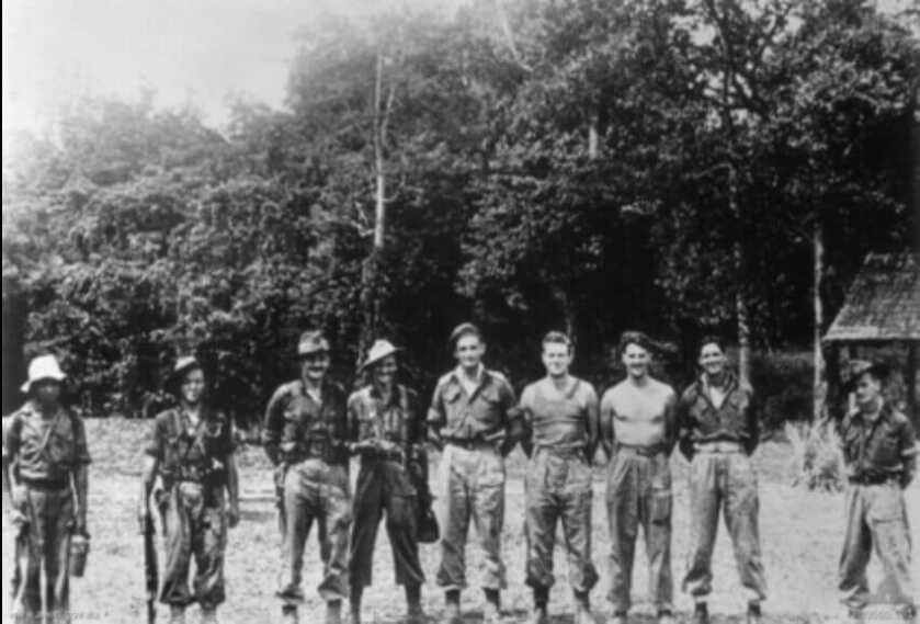Z-force troops lined up in front of jungle