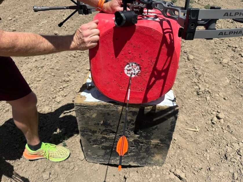 Archery target with arrow in it
