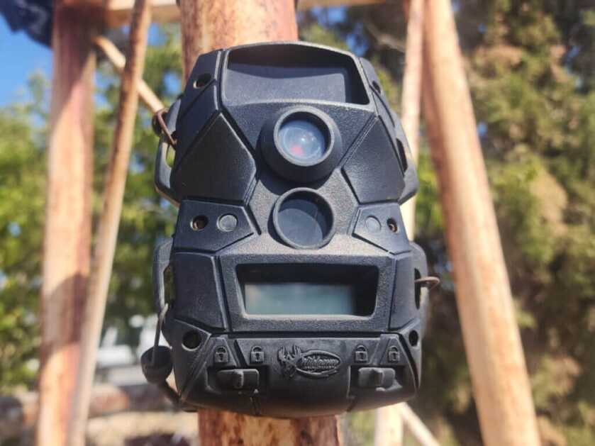 sd card camera