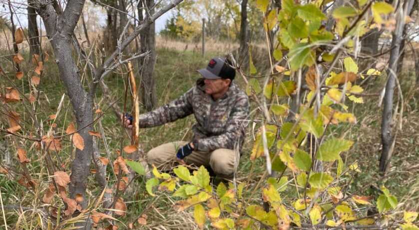 man observing woods autumn fall