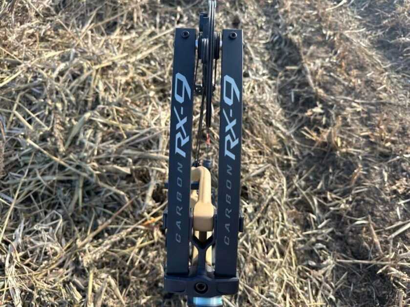 hoyt TXL limb 