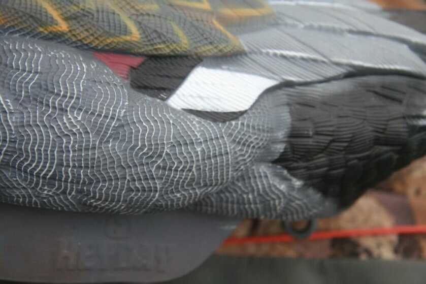 white tip on a gadwall decoy