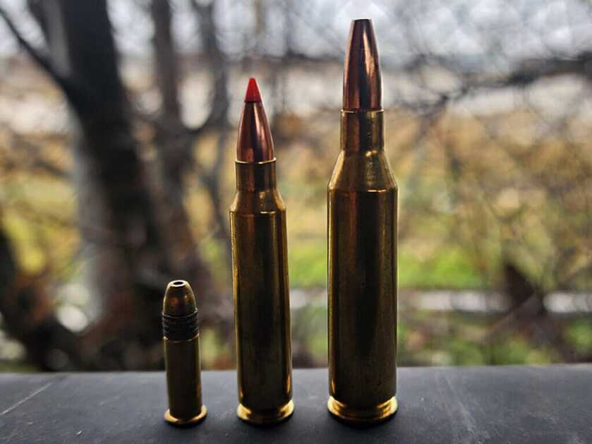 22 caliber ammunition