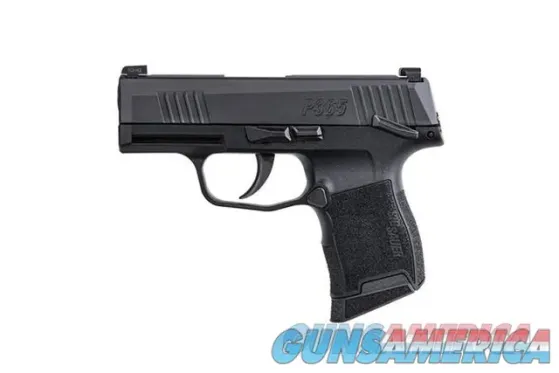 Sig Sauer P365 (365-X9-BXR3-MS)