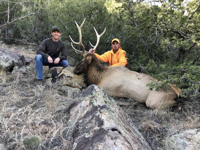 New Study Details How Utah Elk Outsmart Hunters New Study Details How Utah Elk Outsmart Hunters
