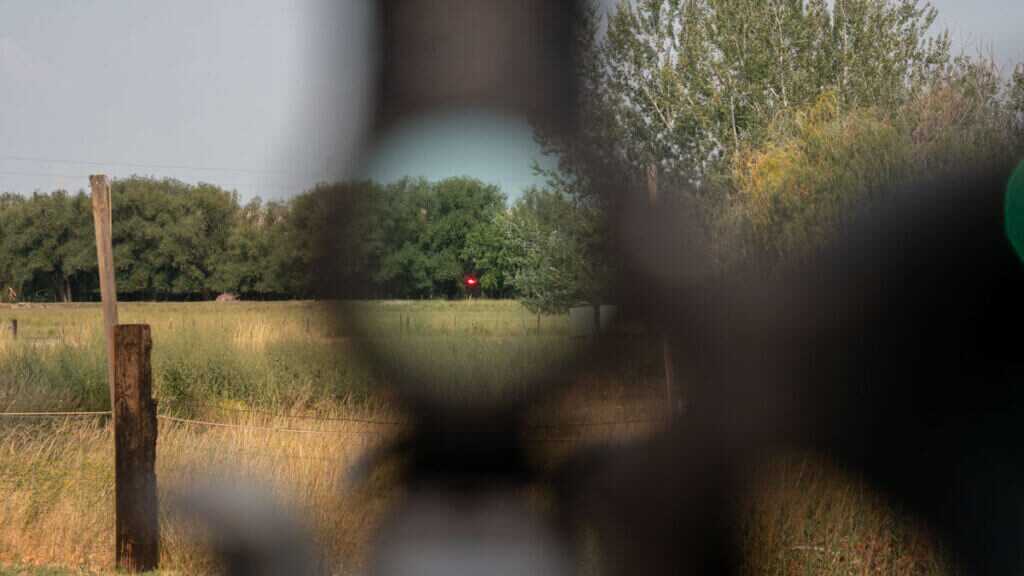 Trijicon MRO SD red dot and 3x magnifier co-witness alignment on rifle